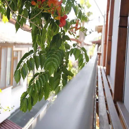 فندق Limon 2 اكياكا