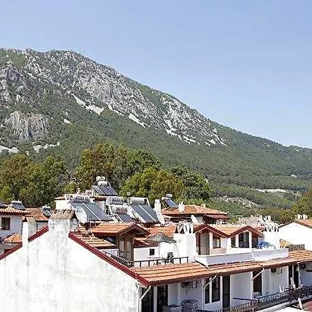 Limon 2 Akyaka (Mugla)