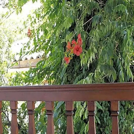 Limon 2 Hotel Akyaka (Mugla)