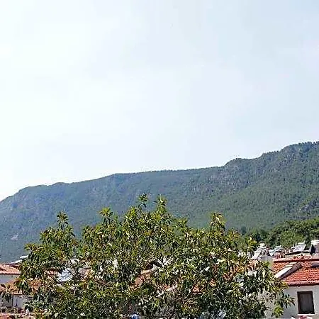 Hotel Limon 2
